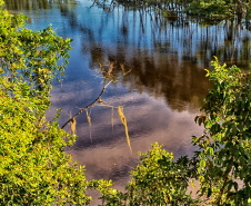 Parque Estadual do Palmito (Paranaguá)