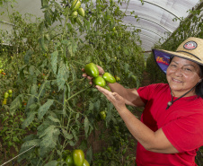 Universidades estaduais do Paraná auxiliam agricultores familiares na certificação orgânica