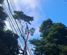 Copel investe quase R$ 900 milhões, em três anos, na prevenção a desligamentos por eventos climáticos