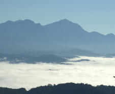 IAT - Selo Clima