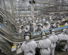 Atividade econômica paranaense cresce mais do que a brasileira em 2026