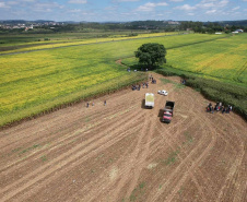 Colégios agrícolas do Paraná recebem drones para aulas práticas