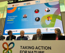 IAT - COP 17