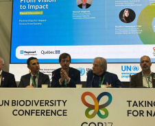 IAT - COP 17