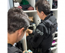 PCPR apreende R$ 48 mil, veículos, embarcações e armas em operação contra fraude milionária