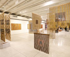 Últimos dias da exposição do artista Mano Penalva no MON