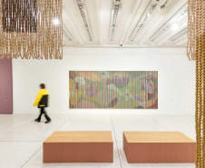 Últimos dias da exposição do artista Mano Penalva no MON