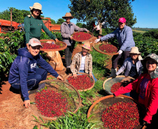 Feira da Agroindústria Familiar reúne produtores e valoriza protagonismo das mulheres rurais no Paraná