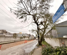 Portos do Paraná avança com obras de pavimentação em Paranaguá