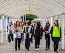 Dia do professor: evento para incentivo à docência reúne 800 estudantes em Curitiba e Maringá