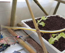 Aluno cria estufa inteligente com irrigação automática e planeja ampliar projeto para agricultura familiar