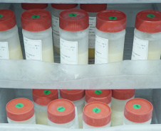 Estado amplia rastreio nutricional e ultrapassa meta global de aleitamento materno
