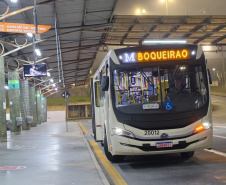 Câmeras terminais