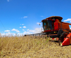Valor de produção agricola IBGE