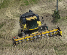 Valor de produção agricola IBGE