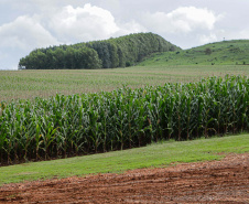 Valor de produção agricola IBGE
