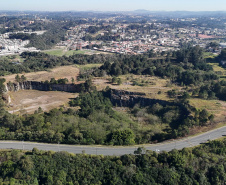 PEDREIRA