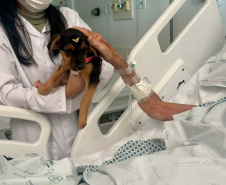 Unidade de Cuidados Paliativos do Hospital Zona Norte de Londrina completa 10 anos
