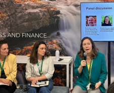 BRDE leva experiência com créditos de biodiversidade à COP17