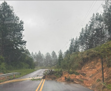 Rodovia Estadual