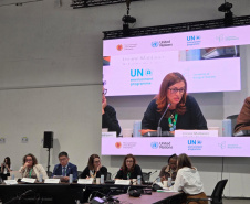 BRDE apresenta experiência inovadora do Paraná em fórum internacional da COP17