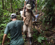 Uma equipe da Secretaria de Estado da Saúde está em Antonina, no Litoral, para investigar o local em que foram encontrados três macacos mortos e uma carcaça mais antiga, diante da possibilidade de que os animais tenham morrido por causa da febre amarela. - Foto: Divulgação SESA