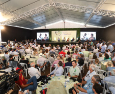 O governador Carlos Massa Ratinho Junior e a ministra da Agricultura, Pecuária e Abastecimento, Tereza Cristina, participam do evento que marca a abertura nacional da colheita da soja. Apucarana, 24/01/2019. Foto: Rodrigo Felix Leal/ANPr