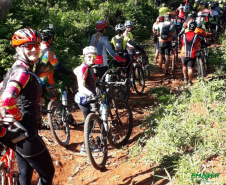 Além das conhecidas caminhadas internacionais da natureza, o Instituto Paranaense deAssistência Técnica e Extensão Rural (Emater-PR), em parceria com o Instituto AndaBrasil, também coordena no Paraná as pedaladas da natureza. Na foto, imagem do percurso natureza e produção rural em Ribeirão Claro  -  Foto: Marina P P Lima /Emater