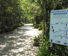 Parque Estadual Rio da Onças,Matinhos, 12-01-2012.Foto: Arnaldo Alves /ANPr