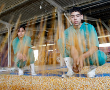 Os cerca de 21 mil alunos matriculados nos Centros Estaduais de Educação Profissional, colégios agrícolas e florestal vão encontrar várias novidades quando retomarem a rotina escolar na próxima quinta-feira (14), início do ano letivo na rede estadual de ensino. Foto:Divulgação/SEED
