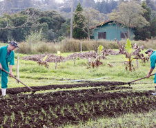 Os cerca de 21 mil alunos matriculados nos Centros Estaduais de Educação Profissional, colégios agrícolas e florestal vão encontrar várias novidades quando retomarem a rotina escolar na próxima quinta-feira (14), início do ano letivo na rede estadual de ensino. Foto:Divulgação/SEED
