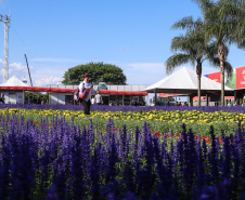 O governador Carlos Massa Ratinho Junior recebe a ministra da Agricultura, Pecuária e Abastecimento, Tereza Cristina, no Show Rural Coopavel. - Cascavel, 08/02/2019 - Foto: Rodrigo Félix Leal/ANPr