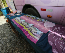 Feira Paraná Cidadão leva serviços gratuitos à população de Campo Magro na região metropolitana de Curitiba. O mutirão oferta  gratuitamente para a população em geral, serviços como a emissão de carteira de identidade, CPF e carteira de trabalho, além da intermediação para vagas de emprego. Também ações em áreas como cidadania, direitos humanos, segurança, educação, saúde, habitação, social, de cultura, esporte e lazer. - Campo Magro, 07/02/2019 -Foto: Geraldo Bubniak/ANPr