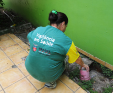 Um segundo município paranaense entrou nesta semana em situação de epidemia de dengue. O boletim semanal traz a ocorrência de 13 novos casos autóctones da doença em Lupionópolis, onde já existiam dois.  -  Foto:SESA