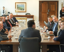 Governador Carlos Massa Ratinho Júnior recebe o presidente da Câmara dos Deputados, Rodrigo Maia. Curitiba, 15/02/2019. Foto: Rodrigo Felix Leal/ANPr
