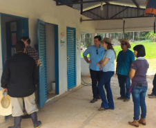 Associação de Fruticultores e Olericultores de Carlópolis - Produtores de goiaba.  -  Foto: 