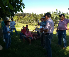 Associação de Fruticultores e Olericultores de Carlópolis - Produtores de goiaba. Treinamento sobre manejo da irrigação com o Professor Dr. Aloísio Costa Sampaio. Foto: Luiza Rocha Ribeiro  