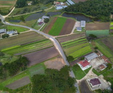  O produtor Bruno Schules, 32, de São José dos Pinhais, na Região Metropolitana de Curitiba (RMC), é um dos agricultores que trabalham com olericultura no Estado e recebem atendimento da Emater.  -  São José dos Pinhais, 04/04/2019  -  Foto: José Fernando Ogura/ANPr