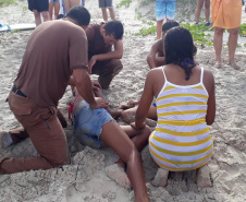 Os policiais Delmir Notte e Walter Viana da Silva fizeram um múltiplo salvamento no balneário de Albatroz, em Matinhos, e retiraram seis pessoas do mar com vida na tarde de sábado (20). Todas as vítimas receberam atendimento no Hospital Nossa Senhora dos Navegantes, inclusive os próprios policiais, que por exaustão decorrida do resgate necessitaram de cuidados.  -  Curitiba, 22/04/2019  -  Foto: PMPR