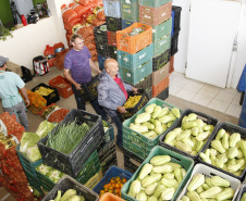 O Governo do Paraná assinou nesta segunda-feira (22) os primeiros contratos com 153 cooperativas e associações da agricultura familiar para a entrega de 28 mil toneladas de gêneros alimentícios para a merenda escolar. Com isso, as entrega para as escolas já começaram. O investimento chega a R$ 65 milhões para compra de frutas, legumes, verduras, hortaliças, temperos e complementos.  -  Curitiba, 22/04/2019  -  Foto: Hedeson Alves/Arquivo SEED