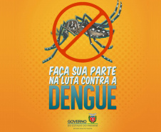 A Secretaria da Saúde do Paraná lançou nesta terça-feira (23) uma campanha digital com orientações sobre medidas preventivas para o combate à dengue. O mote é Faça a sua parte na luta contra a dengue. Foto:SESA