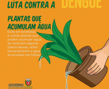 A Secretaria da Saúde do Paraná lançou nesta terça-feira (23) uma campanha digital com orientações sobre medidas preventivas para o combate à dengue. O mote é Faça a sua parte na luta contra a dengue. Foto:SESA