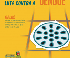 A Secretaria da Saúde do Paraná lançou nesta terça-feira (23) uma campanha digital com orientações sobre medidas preventivas para o combate à dengue. O mote é Faça a sua parte na luta contra a dengue. Foto:SESA