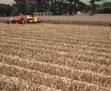Relatório mensal do Departamento de Economia Rural (Deral) da Secretaria de Estado da Agricultura e do Abastecimento mostra que a estimativa de produção da safra de grãos 2018/2019 deve ser de 37,3 milhões de toneladas, 5% maior do que no ano passado e também superior à estimativa anterior, de 37,1 milhões. Na safra anterior, a produção foi de 35,4 milhões.  -  Foto: Jonas Oliveira/Arquivo ANPr
