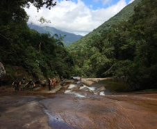 A Secretaria de Desenvolvimento Sustentável e Turismo e as equipes do Batalhão de Polícia Ambiental Força Verde aplicaram 930 autos de infração ambiental em 2019, em 190 municípios do Paraná, por desmatamento irregular (51%), posse ilegal ou maus tratos a animais (18%), efluentes industriais (17%) e pesca fora dos lugares permitidos por lei (5%). Cerca de 90% foi registrado pela polícia, o que resultou em mais de R$ 5 milhões em multas. Foto:Policia Ambiental