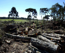 A Secretaria de Desenvolvimento Sustentável e Turismo e as equipes do Batalhão de Polícia Ambiental Força Verde aplicaram 930 autos de infração ambiental em 2019, em 190 municípios do Paraná, por desmatamento irregular (51%), posse ilegal ou maus tratos a animais (18%), efluentes industriais (17%) e pesca fora dos lugares permitidos por lei (5%). Cerca de 90% foi registrado pela polícia, o que resultou em mais de R$ 5 milhões em multas.Foto: Denis Ferreira Netto/SEMA- Arquivo/ANPr