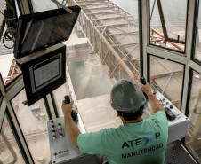 19% das exportações da soja brasileira passa pelos Portos do Paraná. Foto: Claudio Neves/APPA