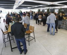Um plano estratégico para fortalecimento e ampliação da cadeia da vitivinicultura no Paraná será elaborado em 30 dias. A medida foi definida neste sábado (18) em reunião entre o secretário da Agricultura e do Abastecimento, Norberto Ortigara, e produtores do setor. O encontro aconteceu durante o Festival Vinopar do Vinho Paranaense, no salão de eventos do Museu Oscar Niemeyer (MON), em Curitiba.18-05-19.Foto: Arnaldo Alves / ANPr