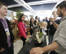Um plano estratégico para fortalecimento e ampliação da cadeia da vitivinicultura no Paraná será elaborado em 30 dias. A medida foi definida neste sábado (18) em reunião entre o secretário da Agricultura e do Abastecimento, Norberto Ortigara, e produtores do setor. O encontro aconteceu durante o Festival Vinopar do Vinho Paranaense, no salão de eventos do Museu Oscar Niemeyer (MON), em Curitiba.18-05-19.Foto: Arnaldo Alves / ANPr