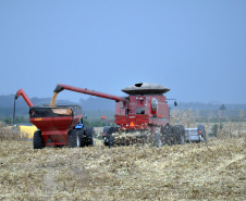 Relatório da safra 2018/2019 divulgado nesta quinta-feira (23) pelo Departamento de Economia Rural (Deral), da Secretaria de Estado da Agricultura e do Abastecimento, mostra que a produção paranaense de grão pode chegar a 37,1 milhões de toneladas, uma variação positiva de 5% em relação à safra anterior.

Segundo o Deral, o milho pode representar 17% do total nacional na safra 2018/2019.  Foto: Jonas Oliveira/Arquivo-ANPr